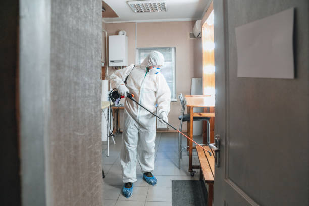 Asbestos and Lead Testing During Mold Inspection in Goodlettsville, TN