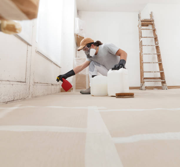 Goodlettsville, TN Mold Removal Company